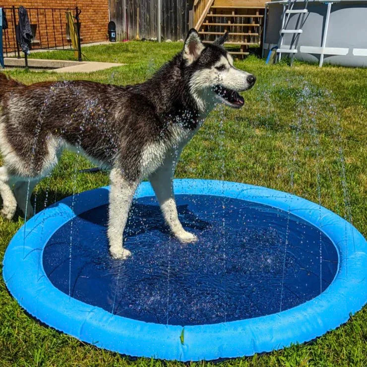 Puppilove - Piscina per cani Dog Pool