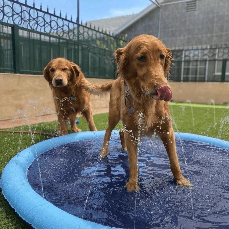 Puppilove - Piscina per cani Dog Pool