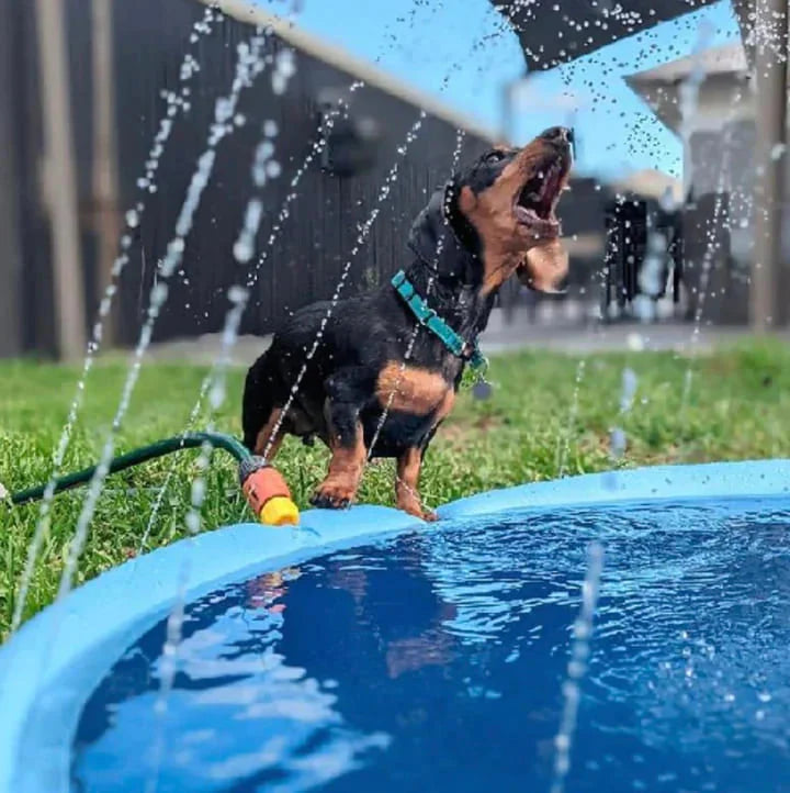 Puppilove - Piscina per cani Dog Pool